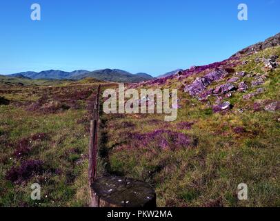 Die scafells ab Mitte Crag Stockfoto