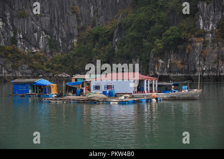 Halong Bucht, Vietnam Stockfoto