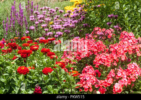 Eine bunte Kombination aus einem Sommerblumenbett in einer Gartengrenze, Phlox, Zinnias, Salvia, Monarda, Rote Blumen in einer Grenze Stockfoto