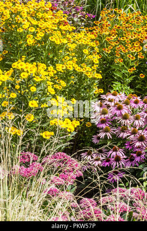 Ein bunter Sommer Garten Blumen Bett in einem Cottage Garden, Echinacea, Rudbeckia, Sneezeweeds Stockfoto