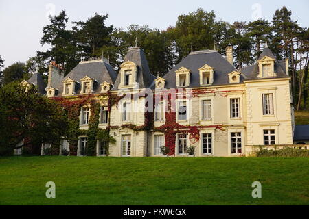 Old Stone Land schloss mit grünen und roten Efeu wild wachsenden auf der Fassade im Park in das Tal der Loire, Frankreich Stockfoto