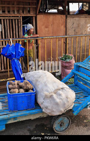 Cebu, Philippines-October 18, 2016: Porter sorgt für eine Katze mit Ingwer und großen Sack. Co2-Markt ältesten und größten Bauernmarkt in der Stadt - Stockfoto