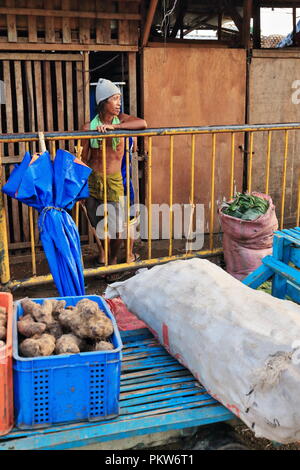 Cebu, Philippines-October 18, 2016: Porter sorgt für eine Katze mit Ingwer und großen Sack. Co2-Markt ältesten und größten Bauernmarkt in der Stadt - Stockfoto