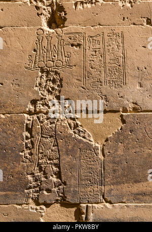 Detail der beschädigten Hieroglyphe Abbildung carving, äußere Pylon, Tempel von Philae, der Nil, Assuan, Ägypten, Afrika Stockfoto