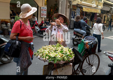 Eine Frau kauft pomelos Blüten in einer alten Straße in Hanoi, Vietnam. Stockfoto