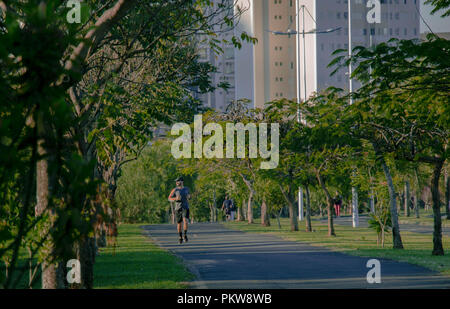 Man Joggen im Park am Morgen. Ein gesunder Lebensstil mit viel Bewegung. Die Sonne im Hellen an einem Sommertag. Stockfoto