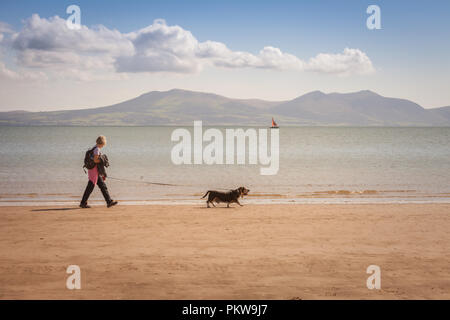 Frau zu Fuß einen Hund auf einem ruhigen Sandstrand, Anglesey, Wales UK Stockfoto