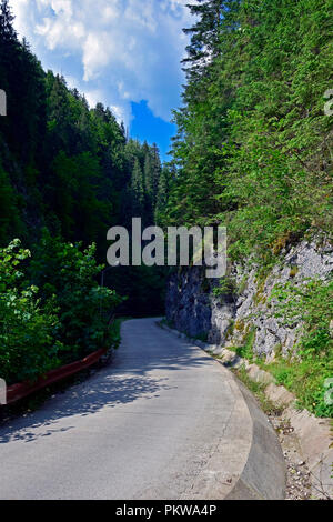 Der Eingang zu einem sehr schmalen Passage irgendwo im Apuseni Naturpark (Rumänien) berufen, die Ordâncușa Schlucht Stockfoto