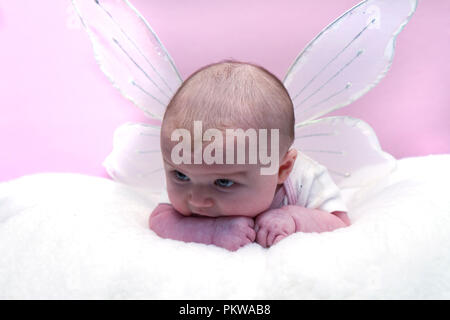 Baby girl Sortiment von Bildern, einschließlich Santa Hut tragen, Schlafen, Waschen, Whirlpool, Weinen, Leiter flower Band und Engel Flügel. Stockfoto