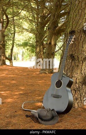 Sortiment von E-Gitarren Bilder, closeup auf schwarzen Hintergrund. Akustik Gitarre gegen Baum im Land lehnend. Stockfoto