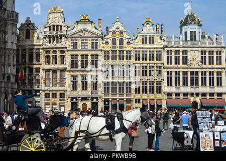 Grand Place an einem sonnigen Tag Stockfoto