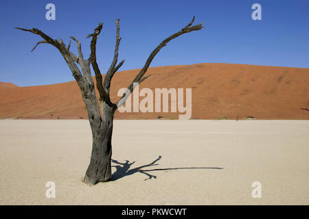 Ansicht der Namib Wüste bei Sossusvlei, ein Salz und Lehm von hohen roten Sanddünen, im südlichen Teil der Namib Wüste umgeben Pan. Stockfoto