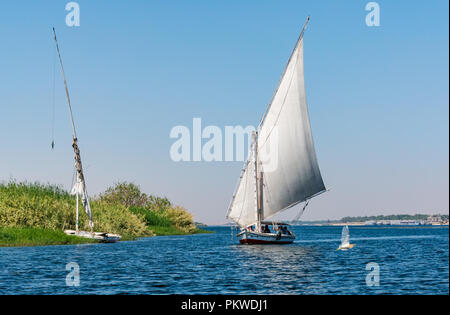 Die traditionellen Feluke segeln Boote mit Vogel fliegt vorbei, der Nil, Assuan, Ägypten, Afrika Stockfoto