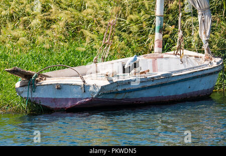 Verfallende traditionellen Feluke Segelboot mit Seidenreiher, Egretta garzetta, auf Felge, Nil, Assuan, Ägypten, Afrika Stockfoto