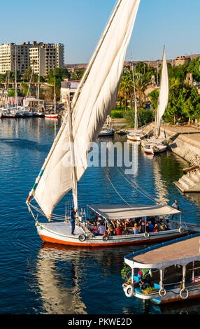 Masse der touristische Passagiere in traditionellen Feluke Segelboot mit feluccas vertäut am Flußufer, Nil, Assuan, Ägypten, Afrika Stockfoto