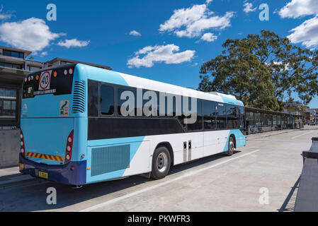 Eine öffentliche Verkehrsmittel Bus an der neuen Bahn und Bus Austausch an Gordon, New South Wales in Australien Stockfoto