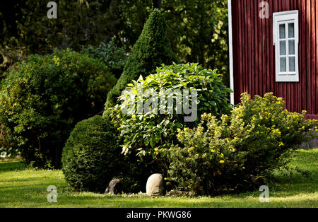 Selbst entworfene grüne Plantage im Garten Stockfoto