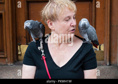 Eine Frau mittleren Alters in Greenwich Village auf ihre Schritte mit ihren zwei pet-afrikanischen graue Papageien. Stockfoto