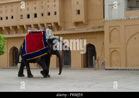 Jaipur, Rajasthan Stockfoto