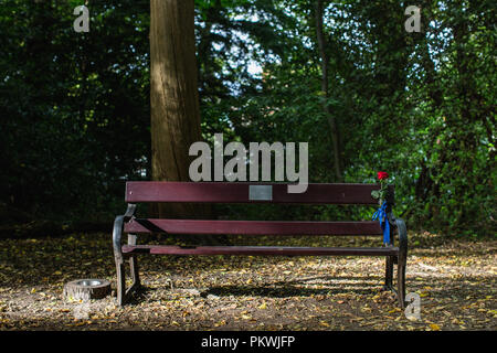 Ein Denkmal Bank in einem ruhigen Ort in einem Woodland Park in London. Stockfoto