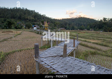 Reisfelder und Häuser auf Stelzen an Bambus Brücke, Pai Thailand Stockfoto