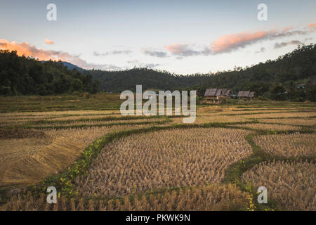 Reisfelder und Häuser auf Stelzen an Bambus Brücke, Pai Thailand Stockfoto