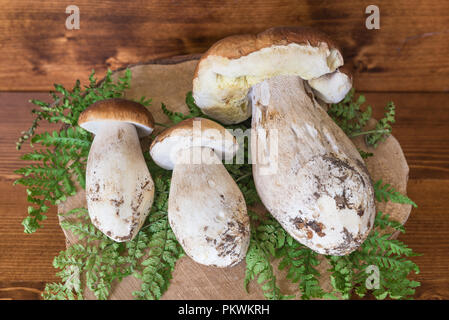 Steinpilze auf Holz- Hintergrund. Drei Boletus edulis, hervorragende Speisepilze Stockfoto
