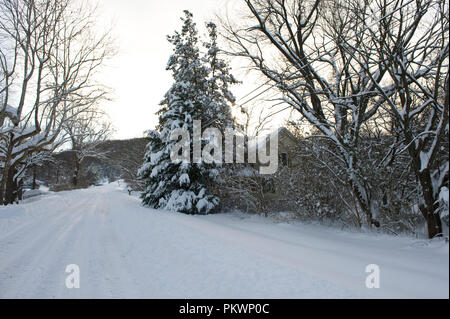 Snow Fall in Virginia Aufzeichnung und hier in Pine Grove in den Blue Ridge Mountains gab es so viel wie 27 Zoll. 12-19-09. Stockfoto