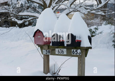 Snow Fall in Virginia Aufzeichnung und hier in Pine Grove in den Blue Ridge Mountains gab es so viel wie 27 Zoll. 12-19-09. Stockfoto