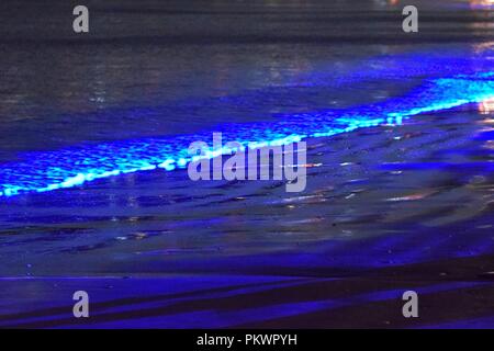 Elektrisches Blaues Glow auf den Wellen der Pazifikküste oder Red Tide. Das elektrische Blau in diesen pazifischen Küstenwellen wird durch ein Dinoflagellat verursacht Stockfoto
