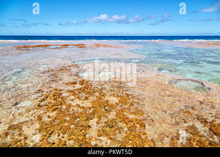 In Polynesien den Felsen der Küste wie Paradies Konzept und Entspannen Stockfoto