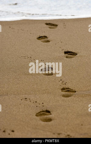 Spuren im Sand am Strand, Playa de la Tejita in der Nähe von El Medano, Teneriffa, Kanarische Inseln, Spanien. Stockfoto