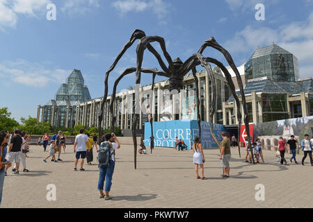 Blick auf die Stadt Ottawa Stockfoto