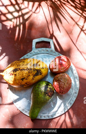 Exotische Früchte auf einem Teller im Schatten der Palmen Stockfoto