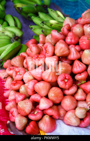 Exotische Früchte von pink Äpfel auf dem Display Case Stockfoto