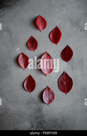 Herbstliche minimalen Komposition. Muster aus roten Herbstlaub auf dunklem Hintergrund, Herbst Konzept. Flach, Ansicht von oben. Stockfoto