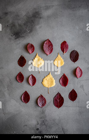Herbstliche minimalen Komposition. Muster aus gelben und roten Herbstlaub auf dunklem Hintergrund, Herbst Konzept. Flach, Ansicht von oben. Stockfoto