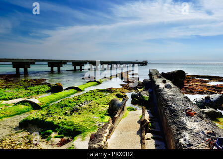 Alte Meer Wand neben Higgs Beach Pier auf Higgs Beach Key West Stockfoto