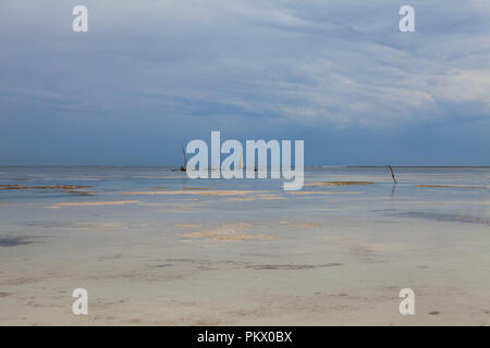 Ebbe in einem Galu Kinondo - Beach, Kenia Stockfoto