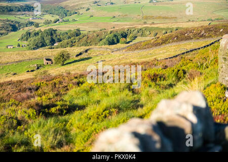 Moor- und rauhe Weide in der Staffordshire Moorlands Bereich des Peak District National Park in der Nähe von gradbach und Flash Stockfoto