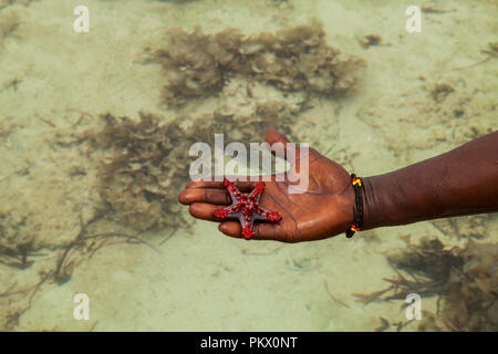Ein Stern Fisch in Galu Kinondo - Beach, Kenia Stockfoto