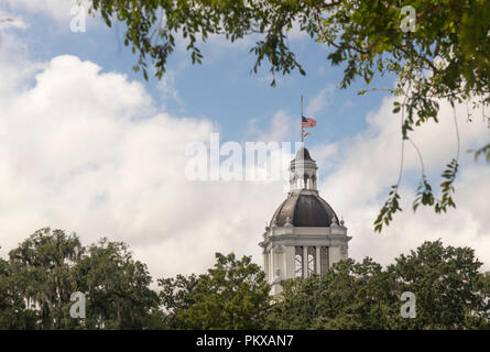 Moos wächst auf Bäumen Framing der Hauptstadt Gebäude in Tallahassee Florida Stockfoto