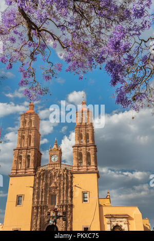 Parroquia Nuestra Señora de Dolores Katholische Kirche in englischer Sprache der Kirche Unserer Lieben Frau der Schmerzen in der Plaza Principal mit blühenden Jacaranda Baum in Dolores Hidalgo, Guanajuato, Mexiko. Miguel Hildago war ein Pfarrer, der inzwischen weltberühmten Grito - ein Ruf zu den Waffen für mexikanische Unabhängigkeit von Spanien ausgestellt. Stockfoto