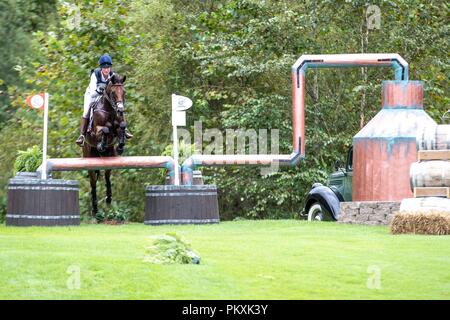 North Carolina, USA. 15. September 2018. Lauren Kieffer. Vermiculus. USA. Eventing Querfeldein Tag 5. World Equestrian Games. WEG 2018 Tryon. North Carolina. USA. 15.09.2018. Credit: Sport in Bildern/Alamy leben Nachrichten Stockfoto