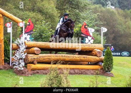 North Carolina, USA. 15. September 2018. Felix Vogg. Colero. SUI. Eventing Querfeldein Tag 5. World Equestrian Games. WEG 2018 Tryon. North Carolina. USA. 15.09.2018. Credit: Sport in Bildern/Alamy leben Nachrichten Stockfoto