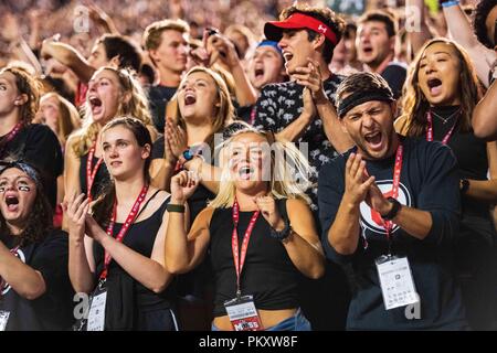 Salt Lake City, USA. 15. September 2018. Utah student Fans während der NCAA College Football Spiel zwischen Washington und Utah am Samstag September 15, 2018 am Reis - Eccles Stadium in Salt Lake City, UT. Jakob Kupferman/CSM Credit: Cal Sport Media/Alamy leben Nachrichten Stockfoto