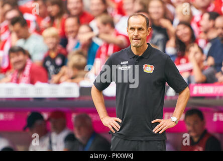 München, Deutschland. 15. September 2018. Heiko HERRLICH, Trainer Leverkusen in halber Größe, Porträt, FC BAYERN MÜNCHEN - Bayer 04 Leverkusen 3-1 - DFL-Bestimmungen verbieten die Verwendung von Fotografien als BILDSEQUENZEN und/oder quasi-VIDEO - 1. Deutsche Fussball Liga, München, 15. September 2018, Saison 2018/2019, Spieltag 4 © Peter Schatz/Alamy leben Nachrichten Stockfoto