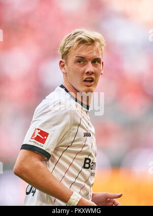 München, Deutschland. 15. September 2018. Julian BRANDT, Lev 10 halbe Größe, Porträt, FC BAYERN MÜNCHEN - Bayer 04 Leverkusen 3-1 - DFL-Bestimmungen verbieten die Verwendung von Fotografien als BILDSEQUENZEN und/oder quasi-VIDEO - 1. Deutsche Fussball Liga, München, 15. September 2018, Saison 2018/2019, Spieltag 4 © Peter Schatz/Alamy leben Nachrichten Stockfoto