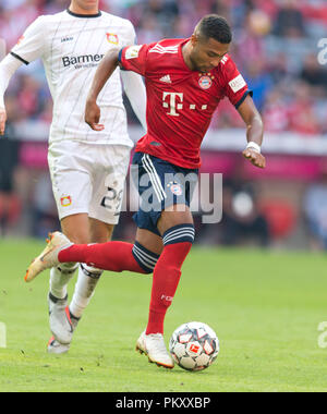 München, Deutschland. 15. September 2018. München, Deutschland. 15 Sep, 2018. Serge Gnabry (FCB) auf der Kugel, Single Action GES/fussball/1. Bundesliga: Bayern München - Bayer 04 Leverkusen, 15.09.2018 Fußball: 1.Liga: FC Bayern München gegen Bayer 04 Leverkusen, München, 15. September 2018 | Verwendung der weltweiten Kredit: dpa/Alamy Leben Nachrichten Quelle: dpa Picture alliance/Alamy leben Nachrichten Stockfoto