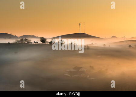Phantasievolle Dawn mit frühen Morgen Tau auf Teeplantagen bei Moc Chau Farm, Son La Provinz, Vietnam Stockfoto